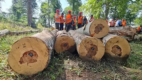 Kumluca'da orman köylüsü mağdur