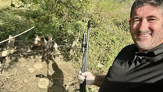 Kapana yakalanan ayı kurtarıldı