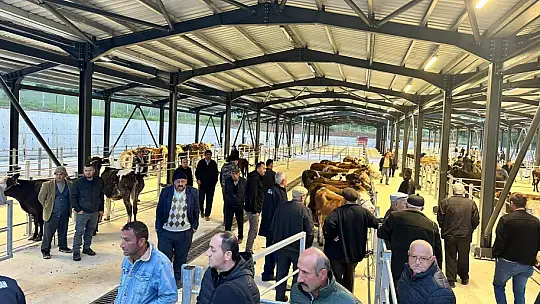 Modern hayvan pazarı faaliyete geçti