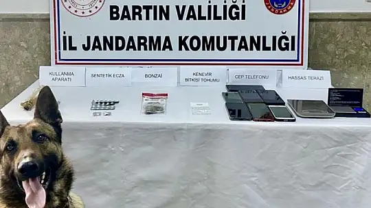 6 adreste eş zamanlı arama