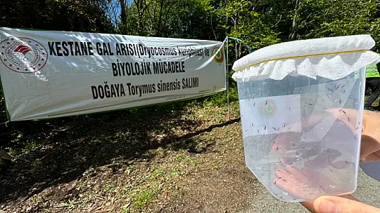 Terminatör böcekler salındı