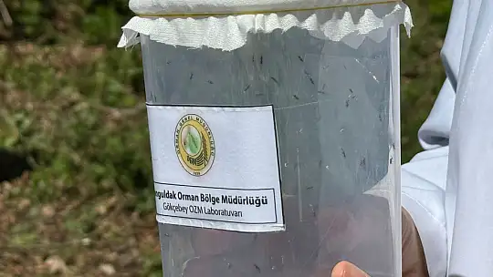Terminatör böcekler salındı