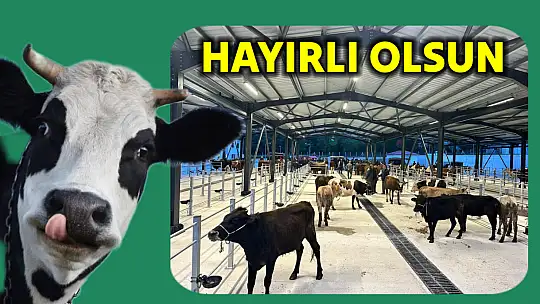 Modern hayvan pazarı faaliyete geçti