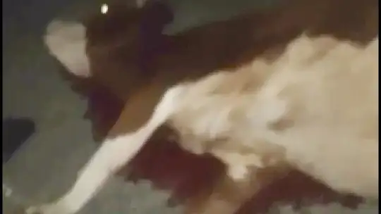 Katliam gibi kaza