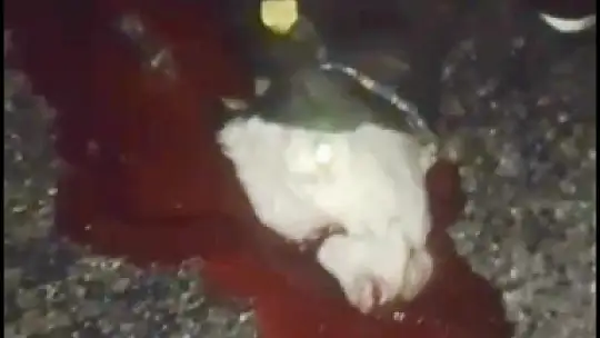 Katliam gibi kaza