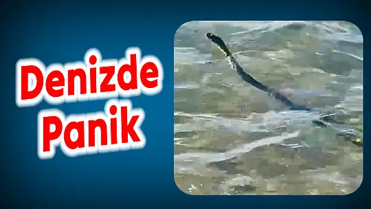 Sahilde görenler korktu