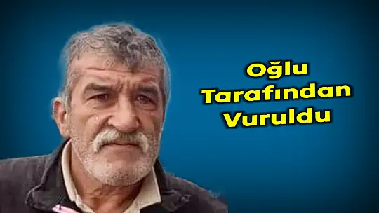 Tüfekle oğlu tarafından vuruldu