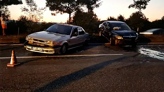 Yola düşen tomruk kazaya neden oldu
