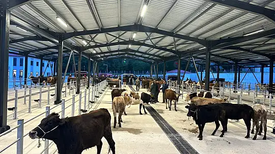 Modern hayvan pazarı faaliyete geçti