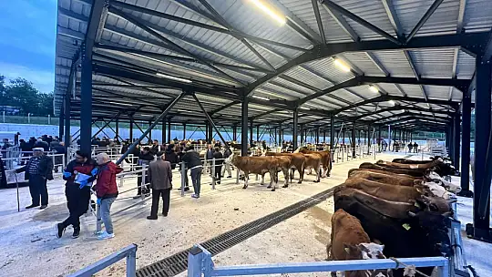 Modern hayvan pazarı faaliyete geçti