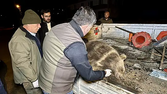 Annesinin gözü önünde araba çarptı