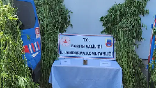 Jandarmadan bahçeye operasyon