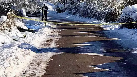 Yol kenarında hareketsiz bulundu