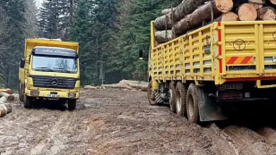 Kumluca'da orman köylüsü mağdur