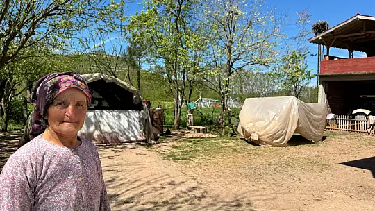 Her yıl yolunu gözlüyorlar