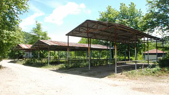 Bartın'da şap vakası