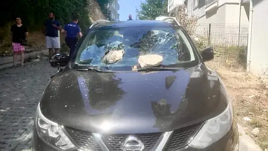 Caddedeki araçlara zarar verdi