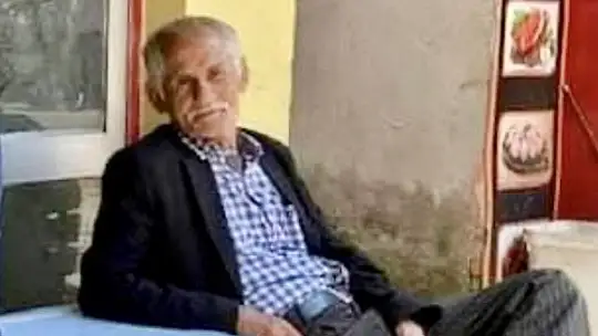 Yol kenarında hareketsiz bulundu