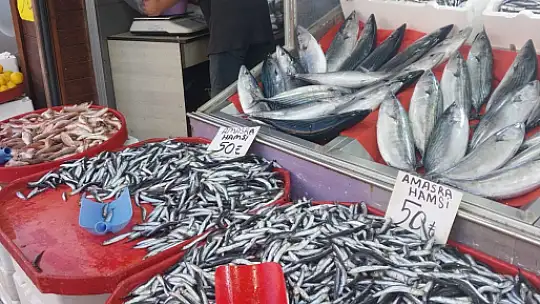 Hamsi fiyatıyla yüzleri güldürdü