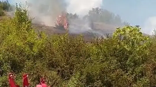 Otluk alanı alevler sardı