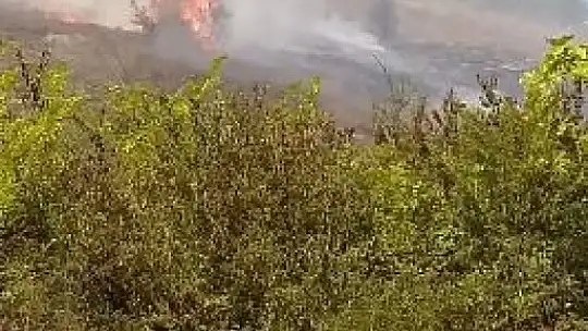 Otluk alanı alevler sardı