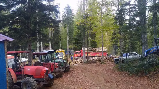 Kumluca'da orman köylüsü mağdur