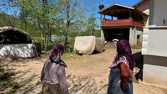 Her yıl yolunu gözlüyorlar