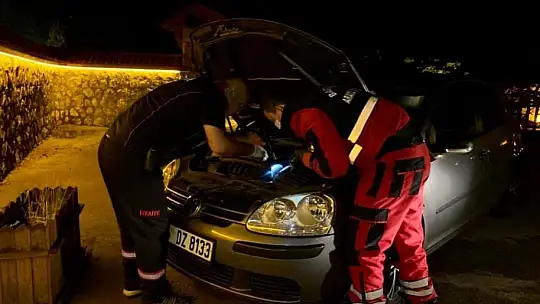 Gelincik operasyonu