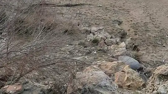 Arama kurtarma çalışmalarında son durum