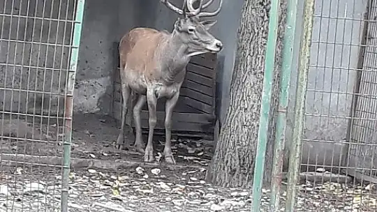 Yatacak yeriniz yok, yazıklar olsun