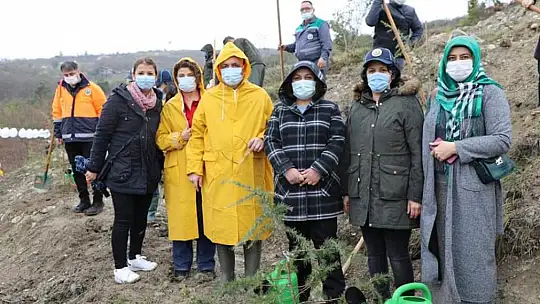Sağlık çalışanları adına Hatıra ormanı