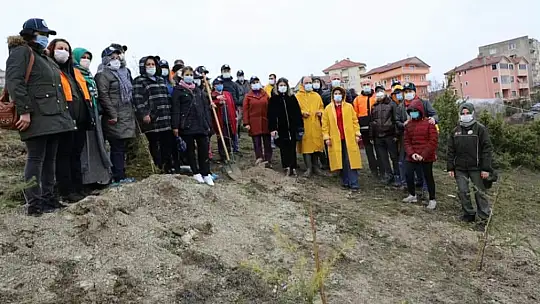 Sağlık çalışanları adına Hatıra ormanı