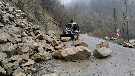 Kaya parçaları yola düştü
