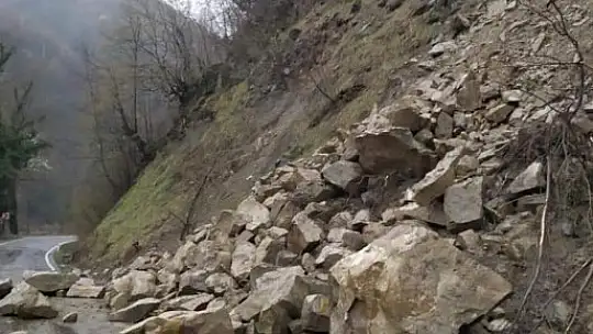 Kaya parçaları yola düştü