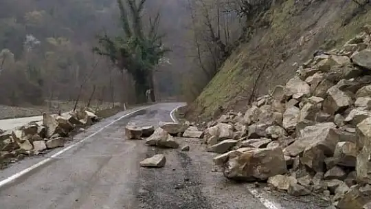 Kaya parçaları yola düştü