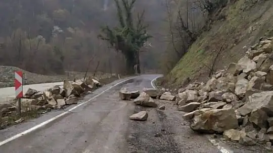 Kaya parçaları yola düştü