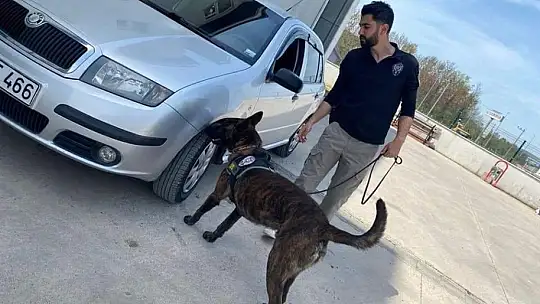 Narkotik aramalarda başarılı karne