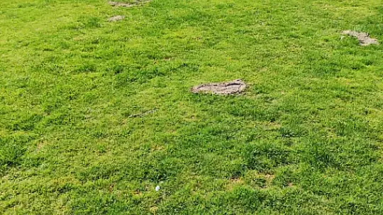 Kayseri'de başka saha mı yok?