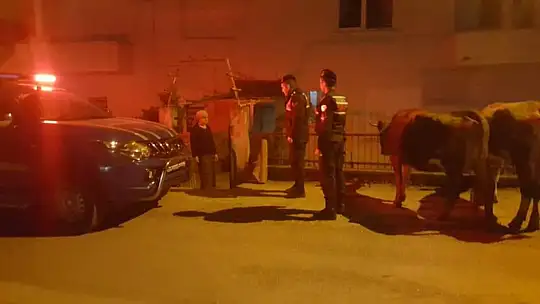 Sosyal medyada satmaya kalktı