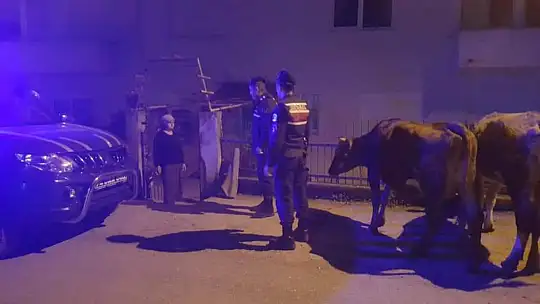 Sosyal medyada satmaya kalktı