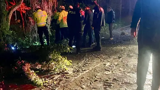 Çarpışan araçlardan biri ırmak kenarına uçtu