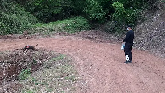Kayıp yaşlı adamdan haber geldi