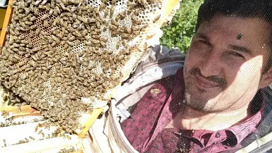 Hakiki kestane balı ve propolis Asar Arıcılık'ta