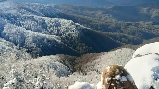 Karda zirveye zorlu yolculuk
