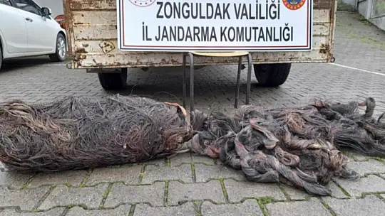 Fazla uzağa kaçamadılar