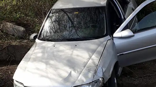 Yoldan çıktı, şarampole yuvarlandı