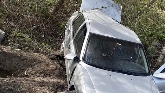 Yoldan çıktı, şarampole yuvarlandı