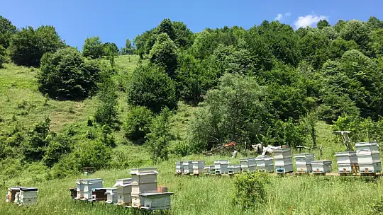Arazide şok eden manzara