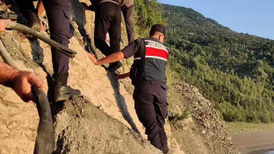 Kayalıklarda mahsur kaldı