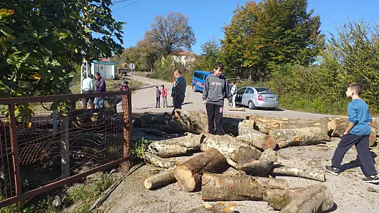 Tomruklar yola saçıldı